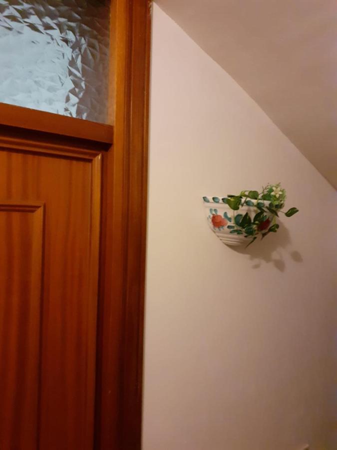 马尔萨拉Damiani House别墅 外观 照片
