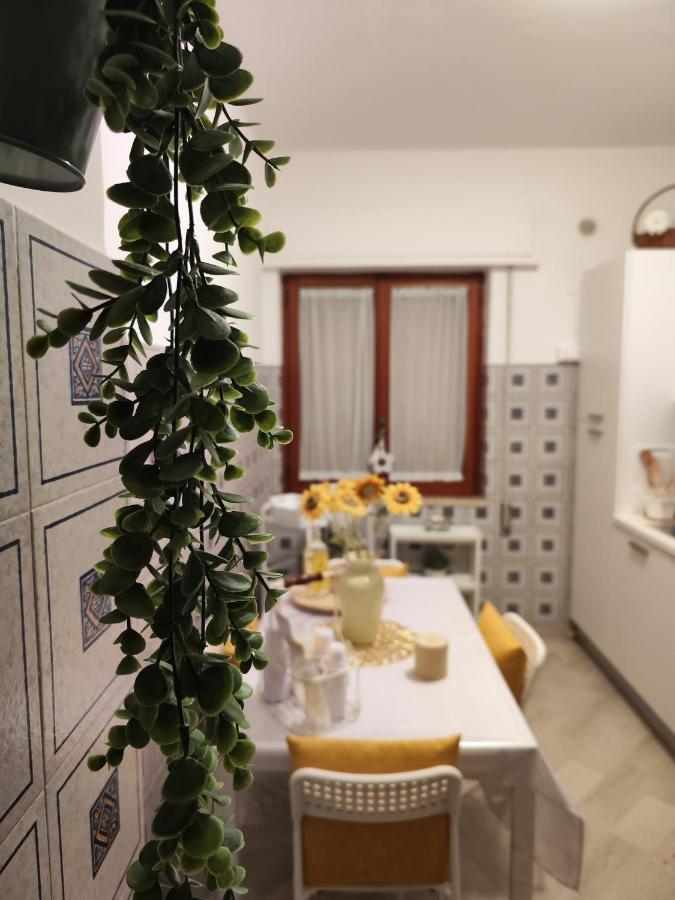 马尔萨拉Damiani House别墅 外观 照片